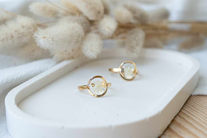 Anillo sauco